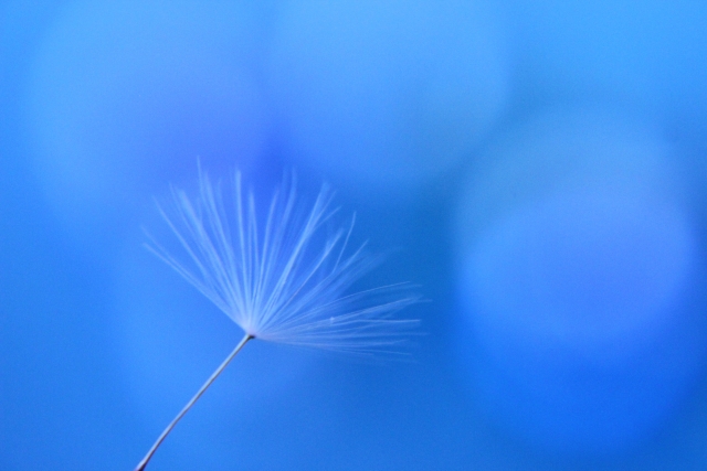 青空