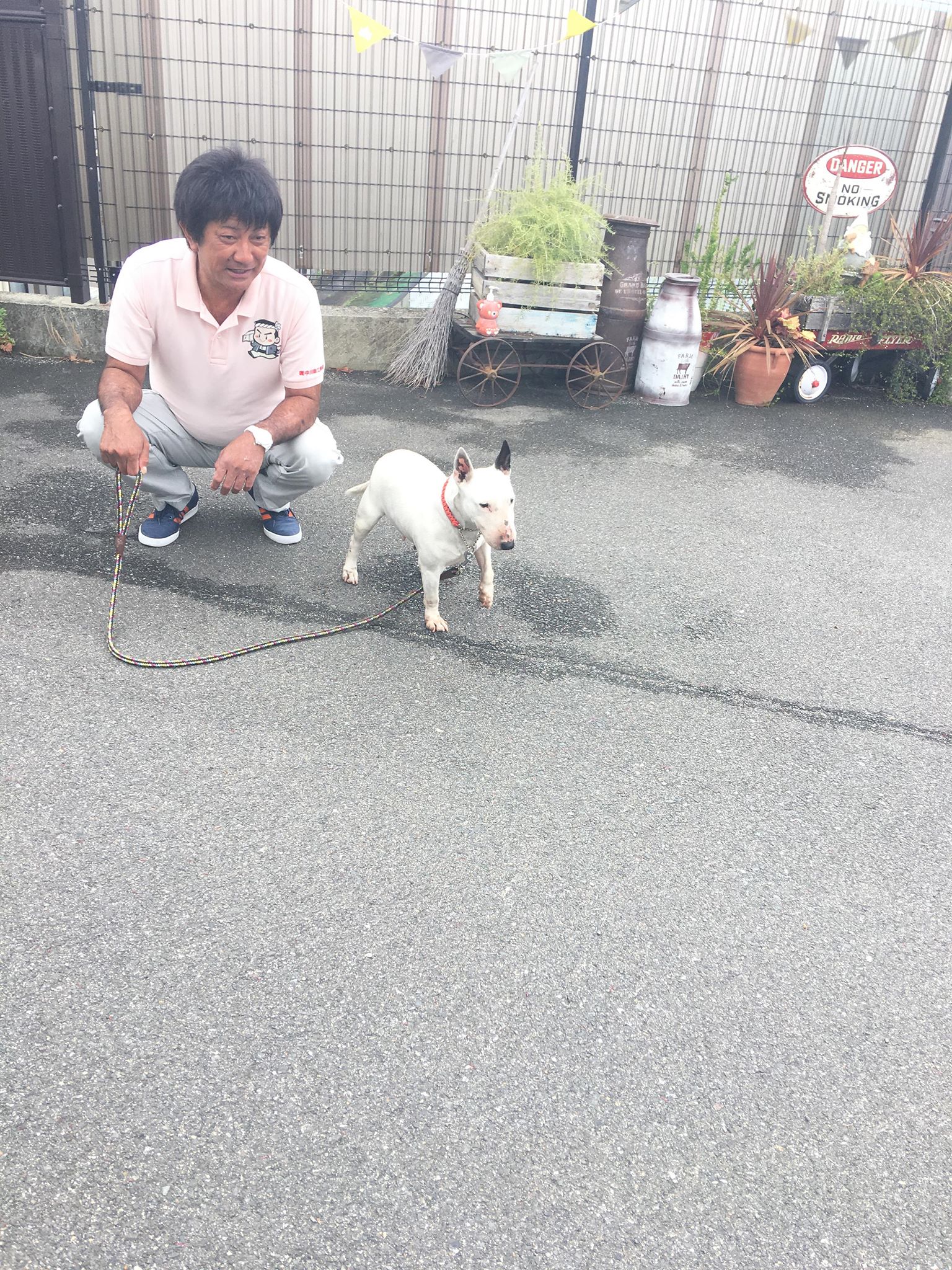 愛犬と